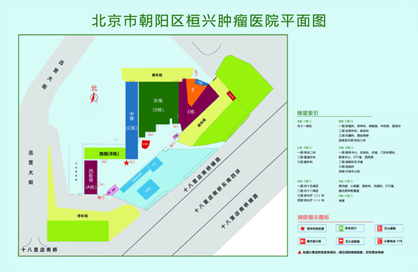 插鸡巴精彩视频北京市朝阳区桓兴肿瘤医院平面图